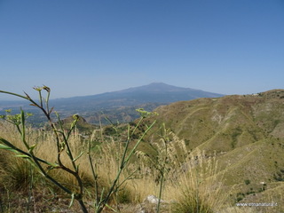 Monte Venere